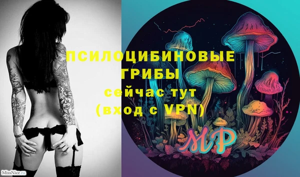 apvp Белоозёрский