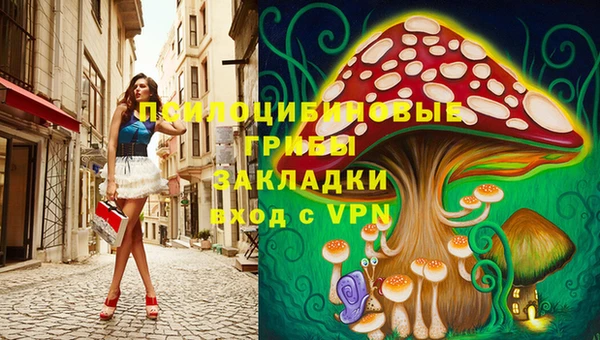 дживик Беломорск
