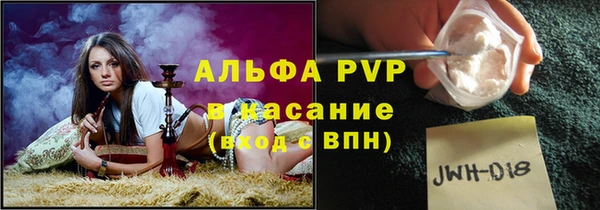 крисы Белокуриха