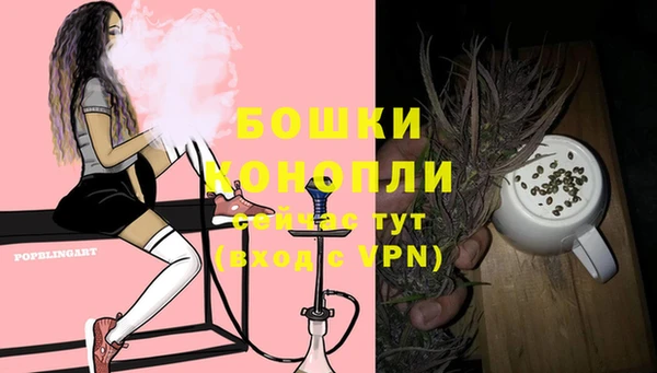 крисы Белокуриха